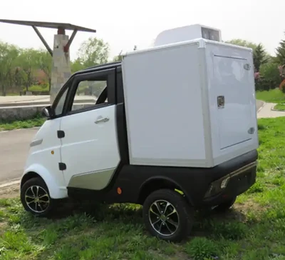 High Quality 3 Wheel New Electric Cargo Bike For Delivery EEC Electric Tricycle Cargo