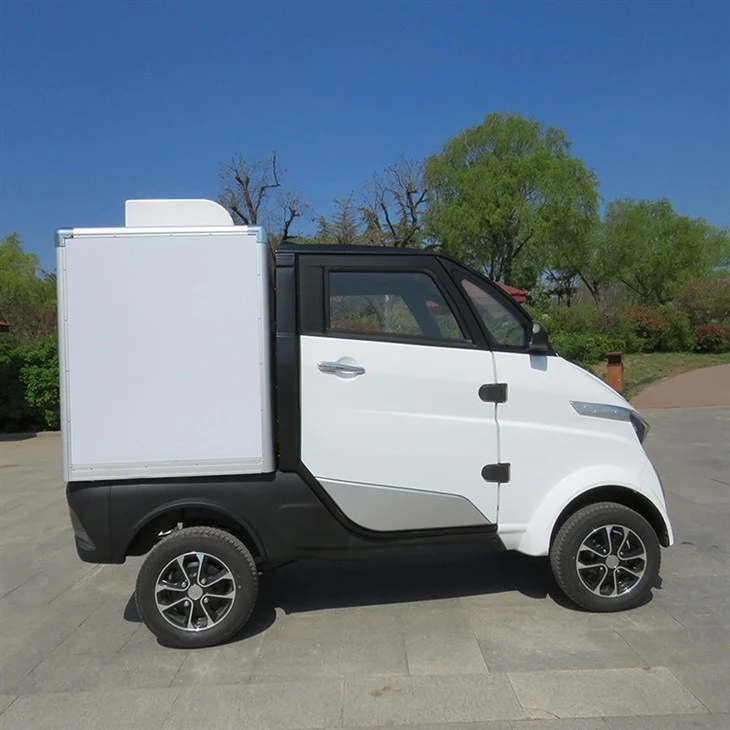 Ice Mini Van Electric Motorcycle Cargo Trailer EU Standard Truck With Freezer