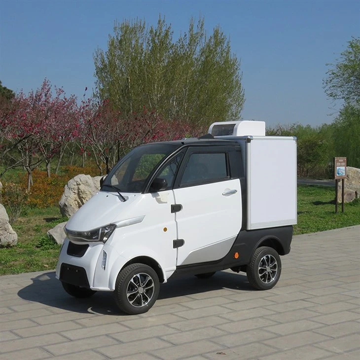 Ice Mini Van Electric Motorcycle Cargo Trailer EU Standard Truck With Freezer
