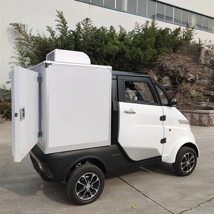 Ice Mini Van Electric Motorcycle Cargo Trailer EU Standard Truck With Freezer