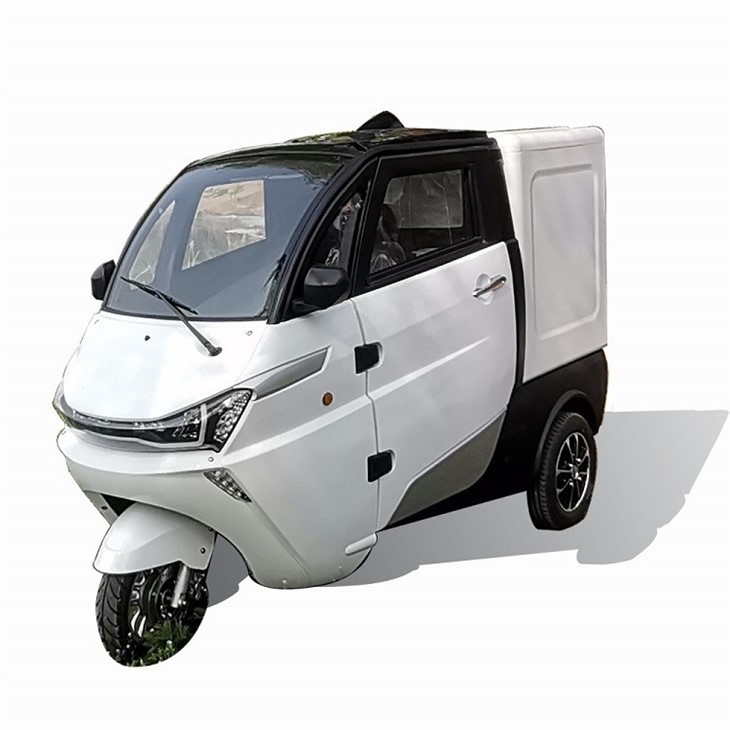 Lithium Battery Adult Three Wheel Cargo Electric Tricycle