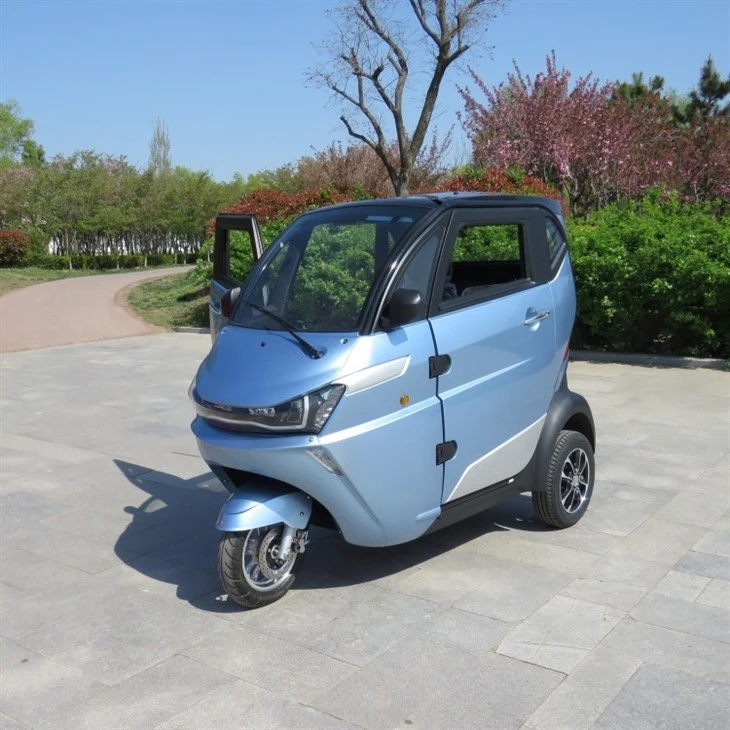U.S. DOT Street Leagal 3-Wheel Type LSV Mini Electric Vehicle